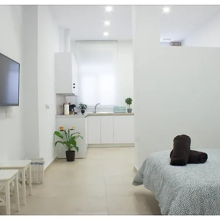 Apartamento Estación-centro Vialia *